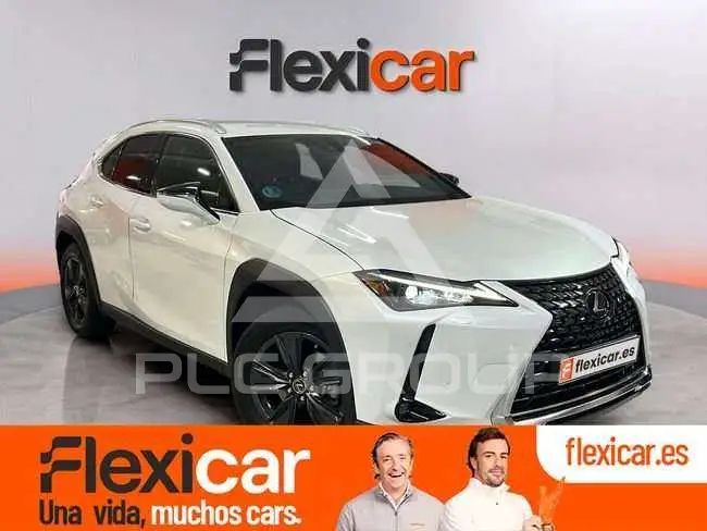 2024 Lexus UX250