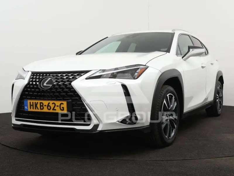 2024 Lexus UX250