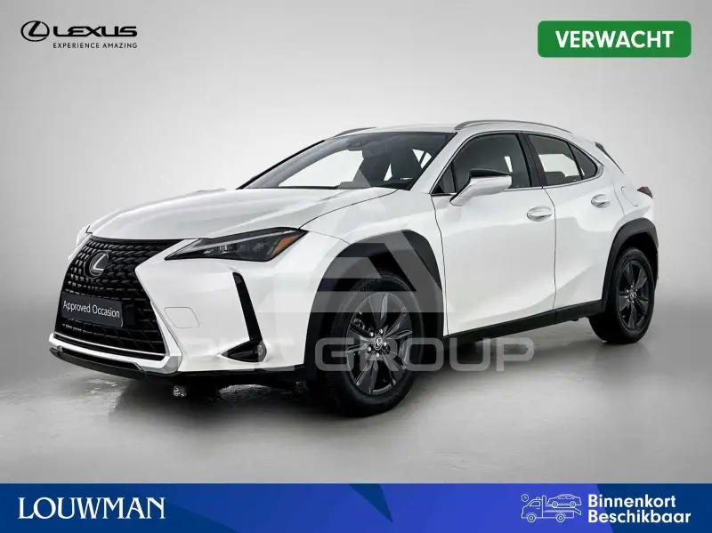2024 Lexus UX250