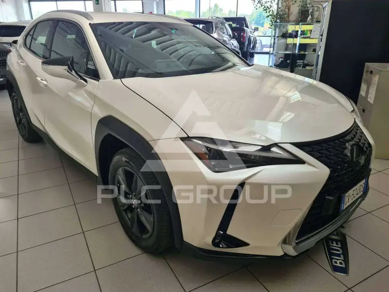2024 Lexus UX250