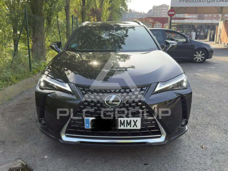 2024 Lexus UX250