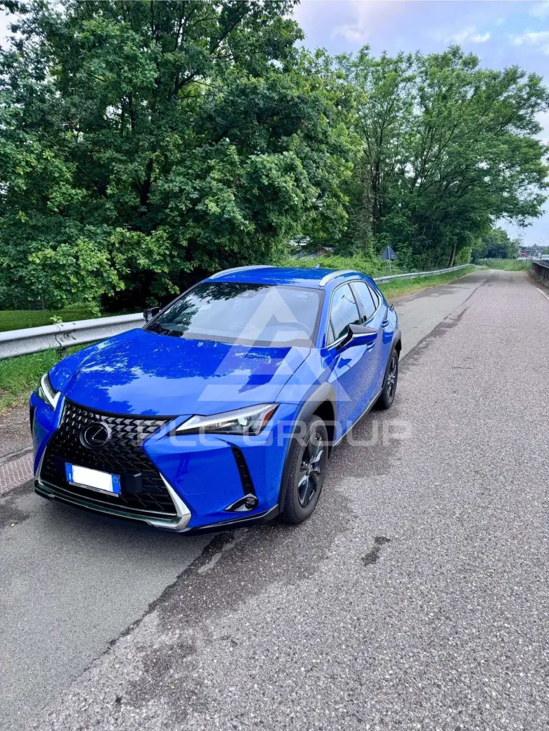 2024 Lexus UX250