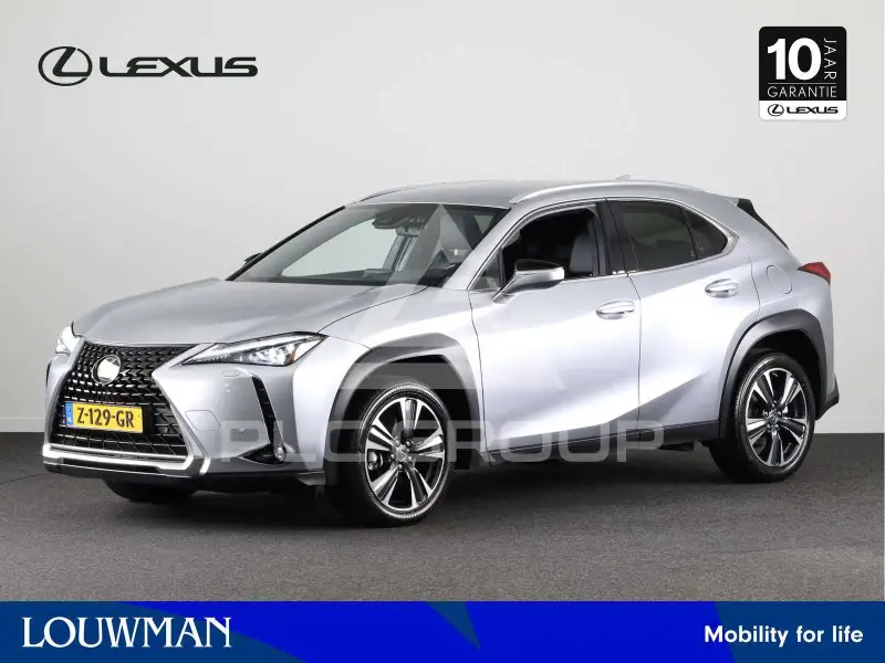 2024 Lexus UX250