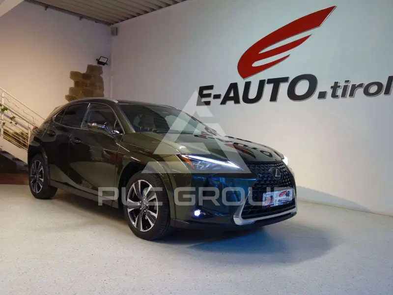 2024 Lexus UX250