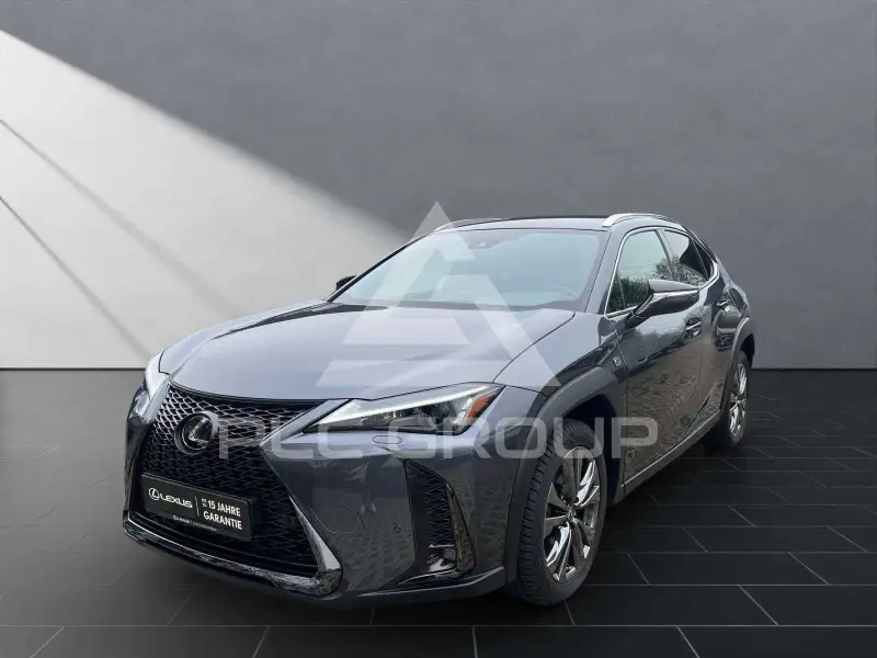 2024 Lexus UX250
