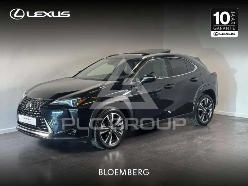 2024 Lexus UX250