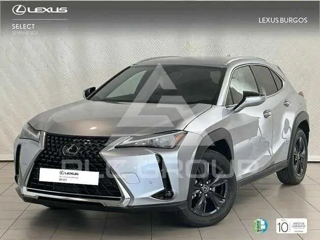 2024 Lexus UX250