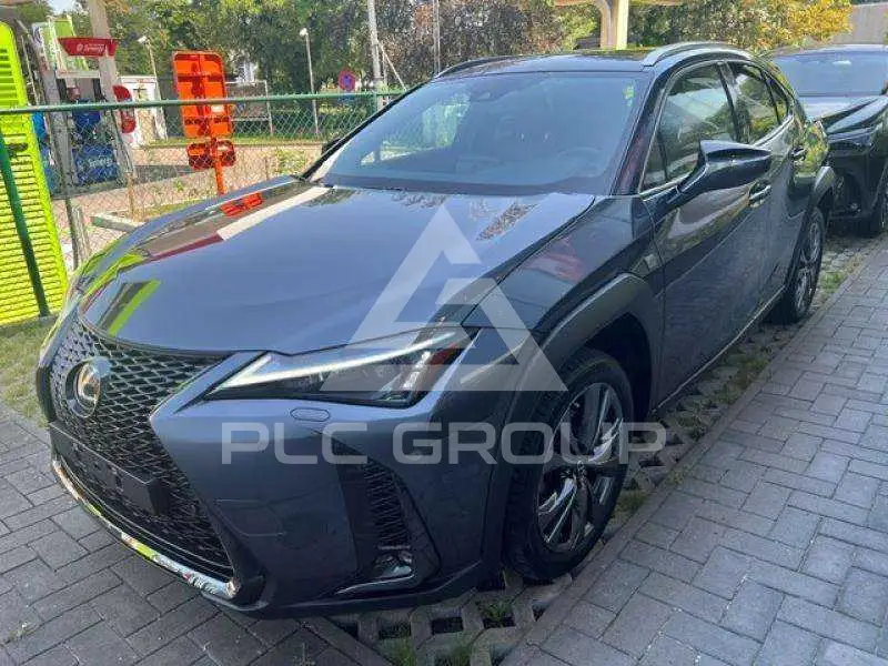 2024 Lexus UX250