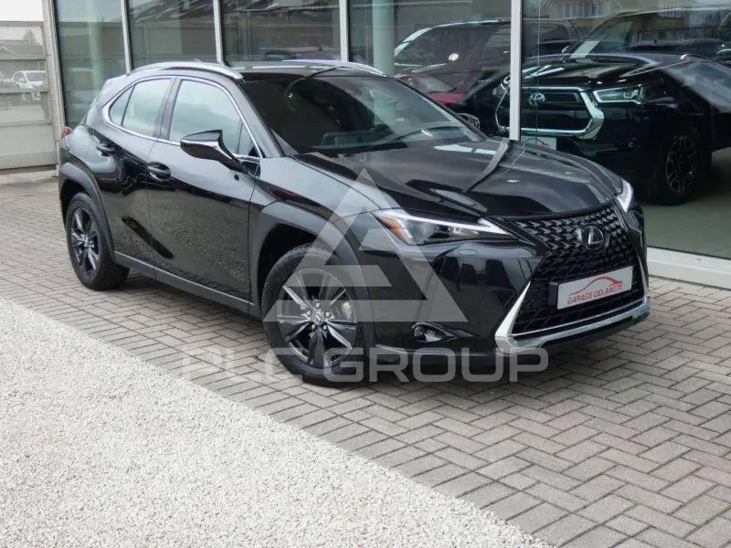 2024 Lexus UX250