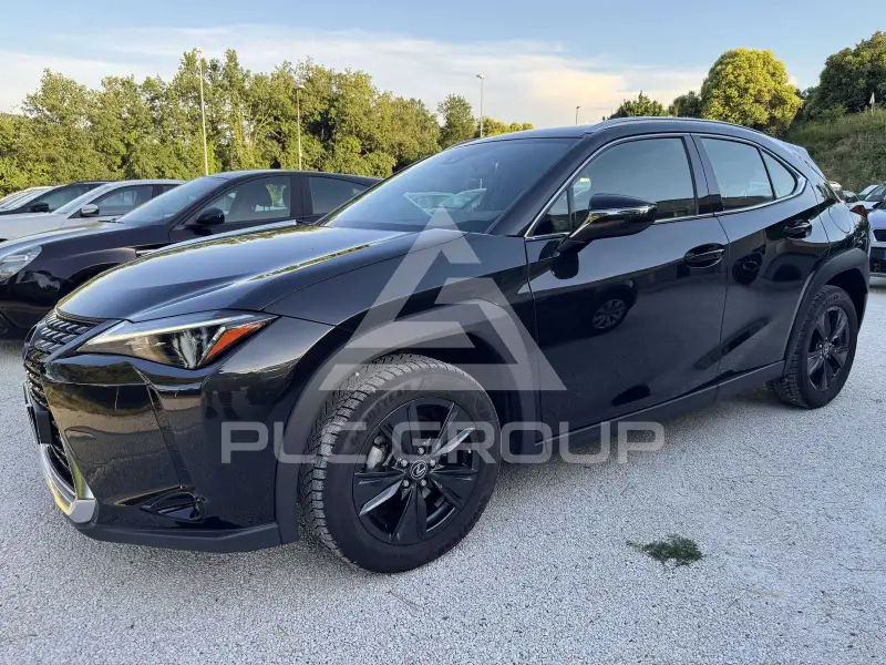2024 Lexus UX250