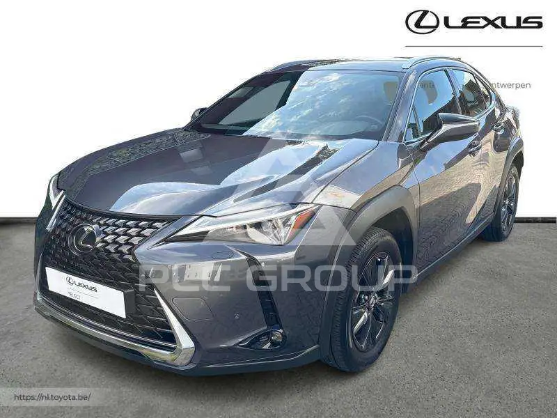 2024 Lexus UX250