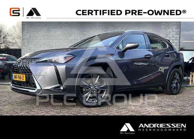 2024 Lexus UX250