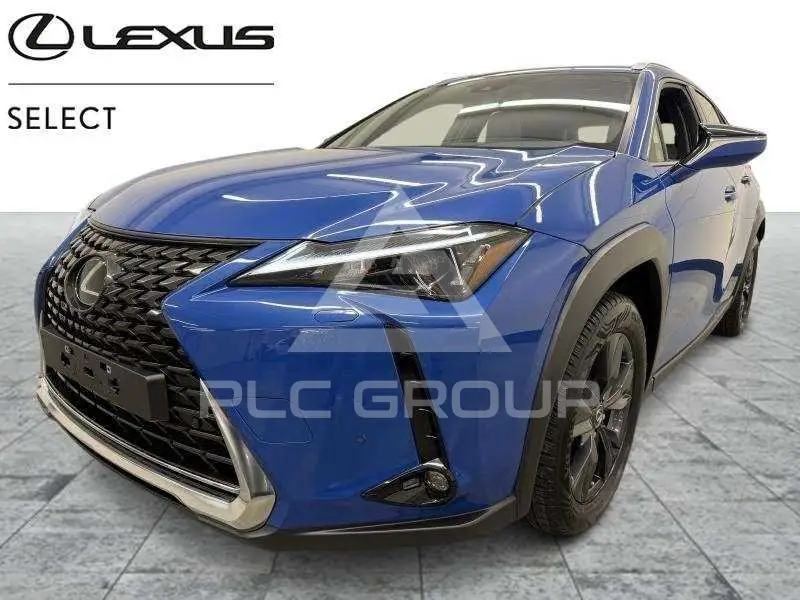 2024 Lexus UX250