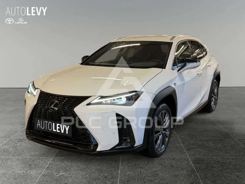 2024 Lexus UX250