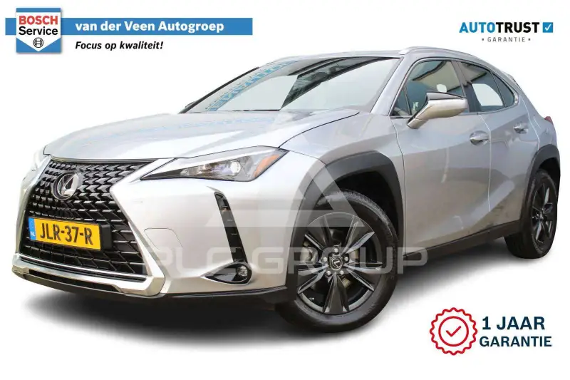 2024 Lexus UX250