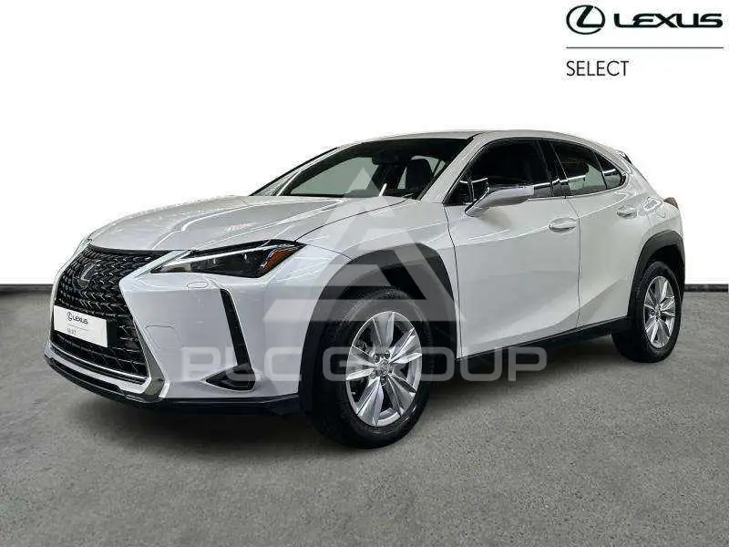 2024 Lexus UX250