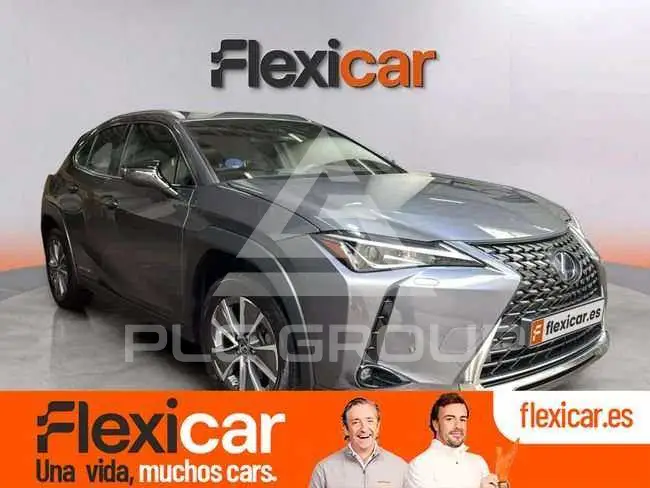 2024 Lexus UX
