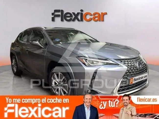 2024 Lexus UX