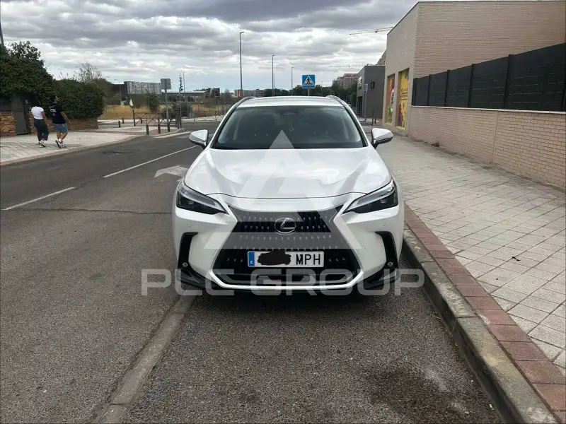 2024 Lexus NX250