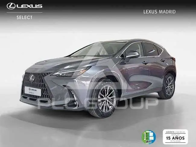 2024 Lexus NX250
