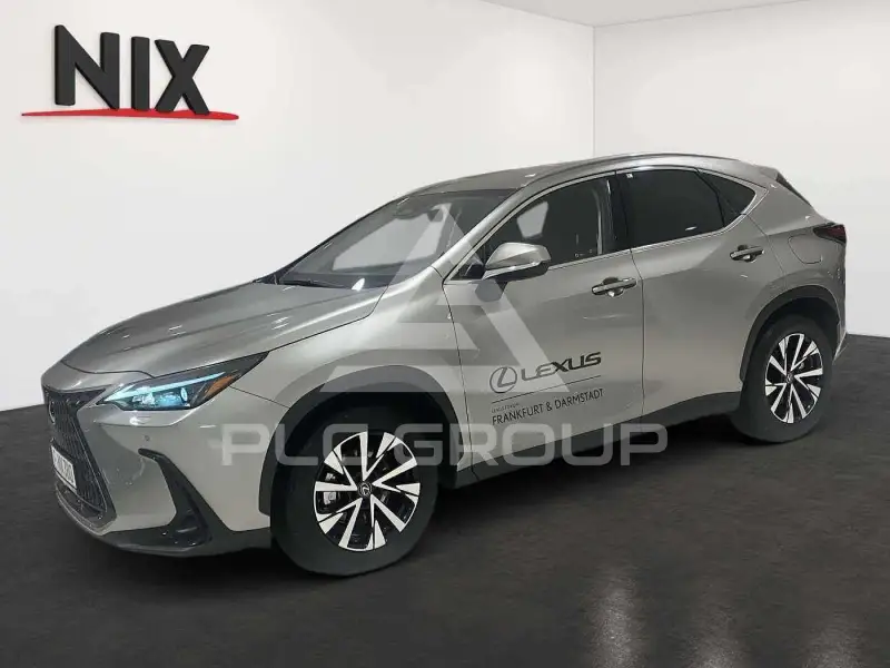 2024 Lexus NX250