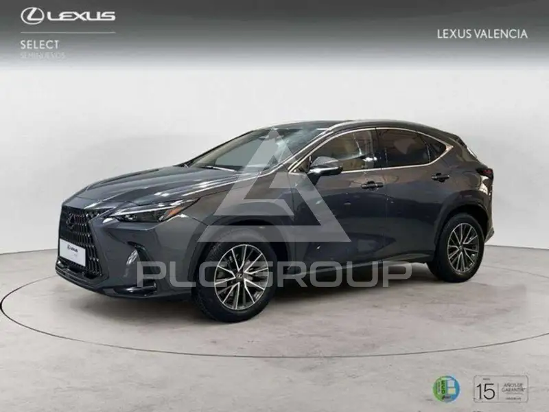 2024 Lexus NX250