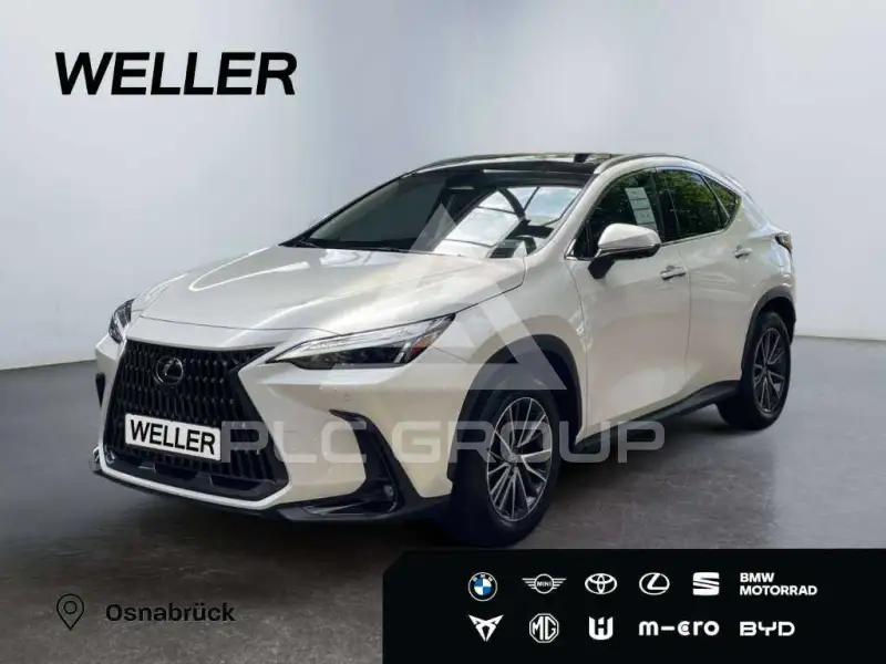 2024 Lexus NX250