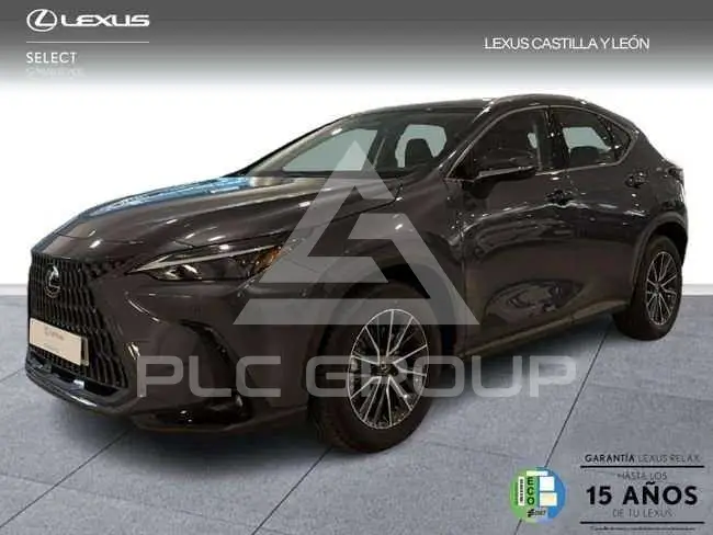 2024 Lexus NX250