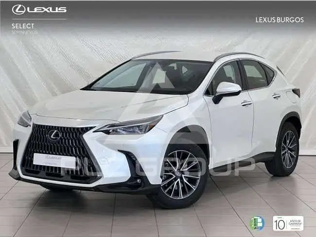 2024 Lexus NX250