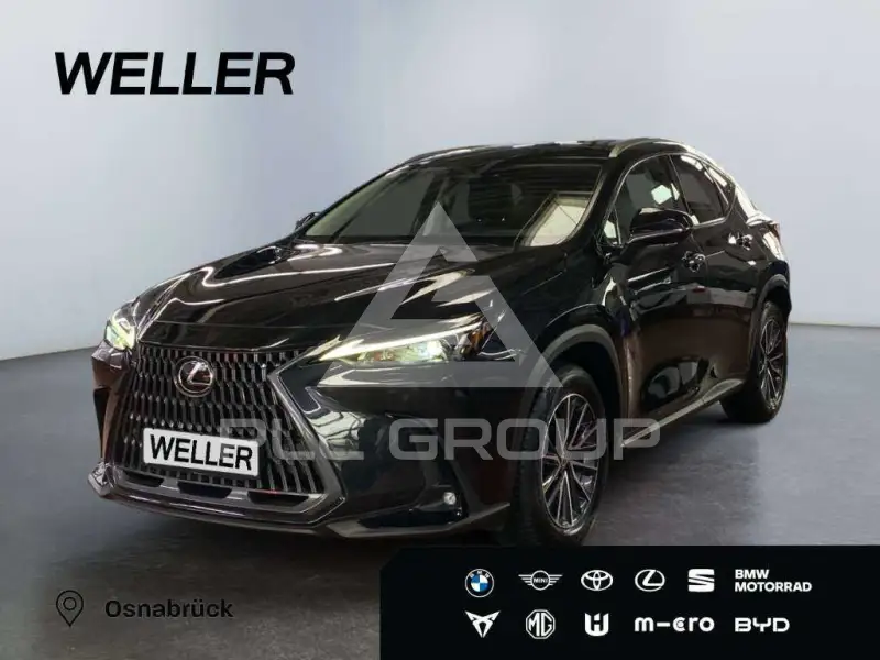 2024 Lexus NX250