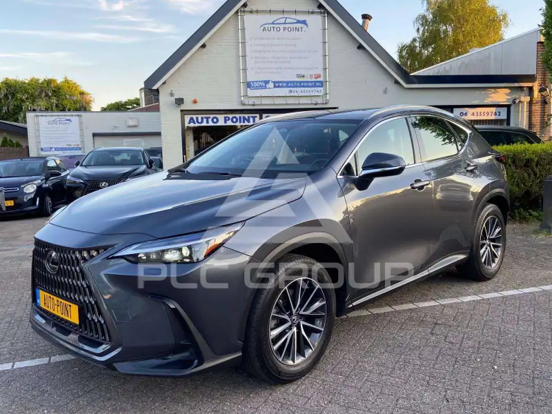 2024 Lexus NX250