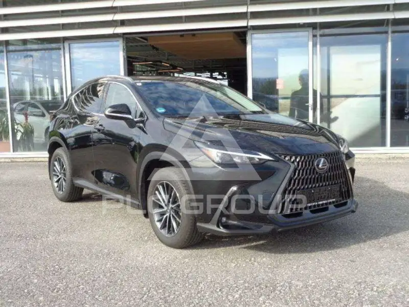 2024 Lexus NX250