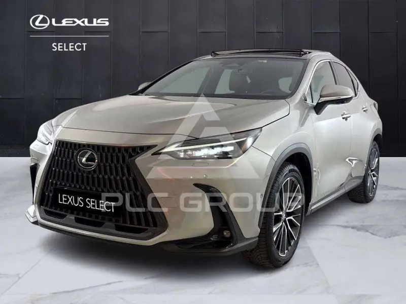 2024 Lexus NX250