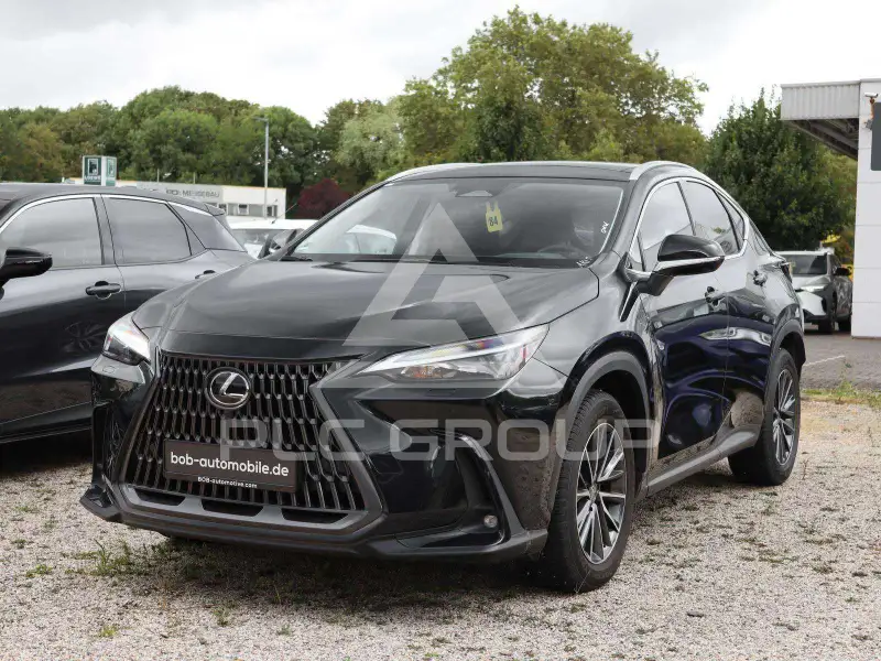 2024 Lexus NX250