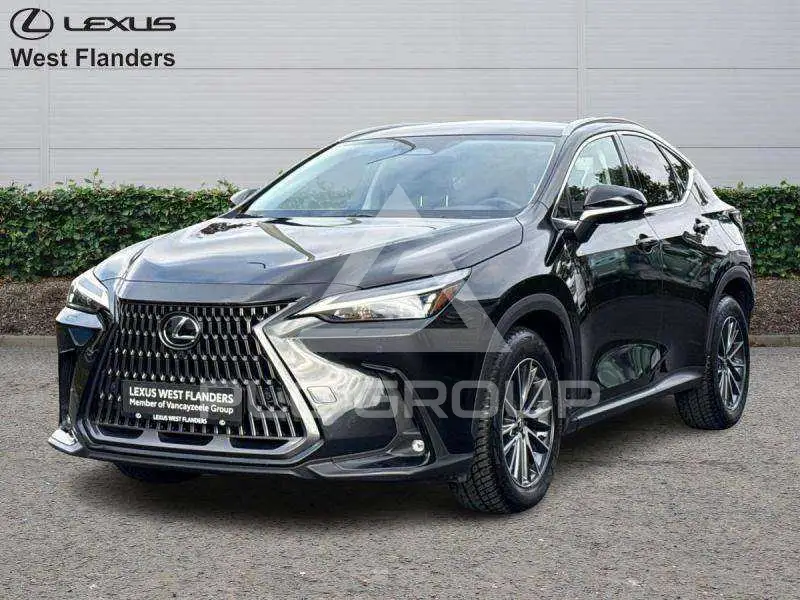 2024 Lexus NX250