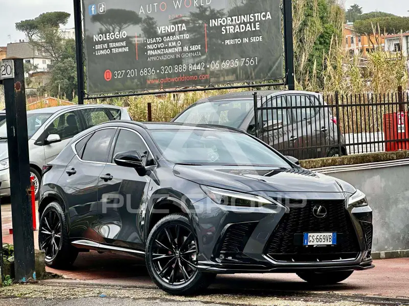 2024 Lexus NX250