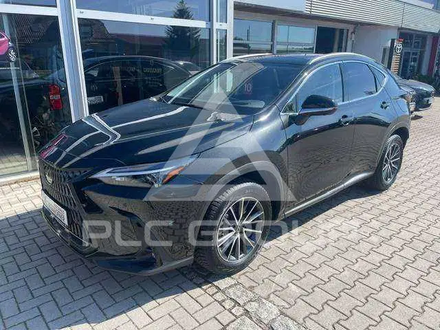 2024 Lexus NX250
