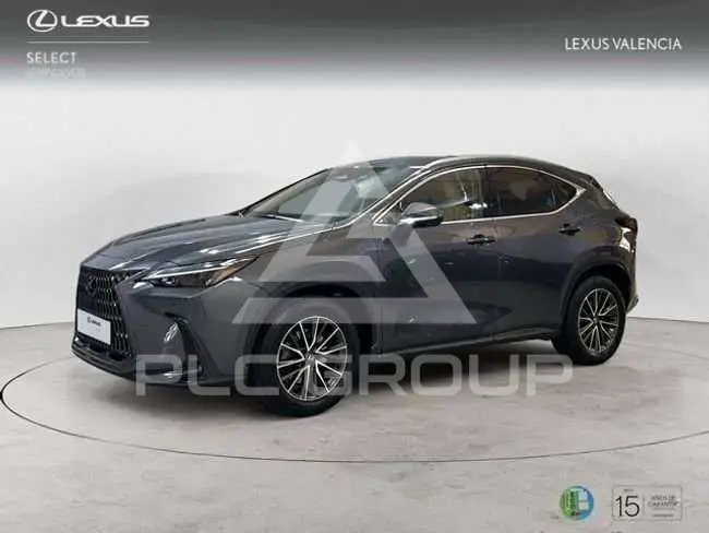 2024 Lexus NX250