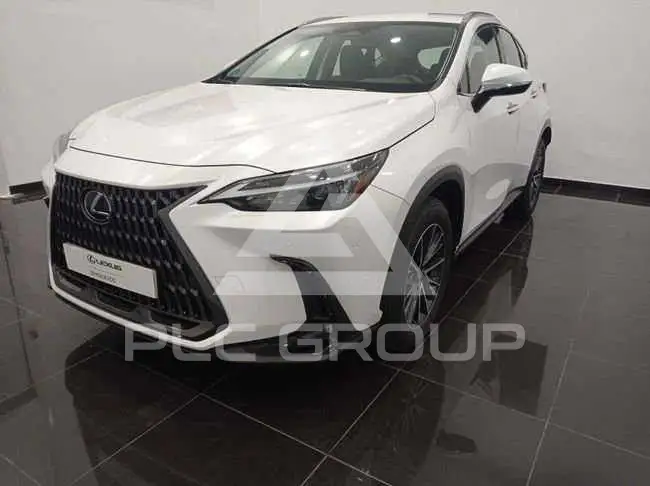 2024 Lexus NX250