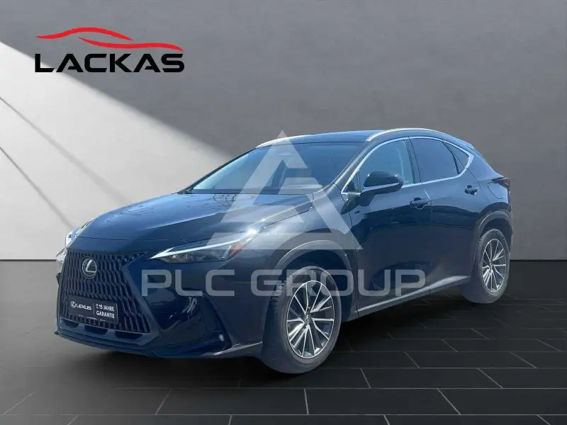 2024 Lexus NX250