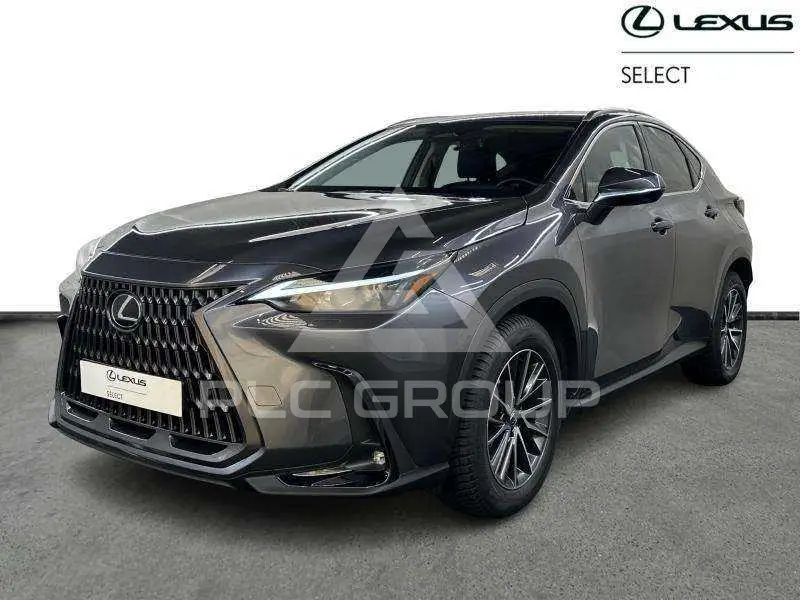 2024 Lexus NX450
