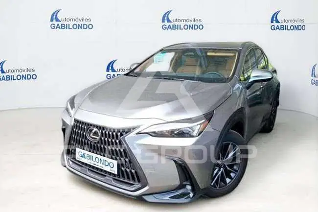 2024 Lexus NX450