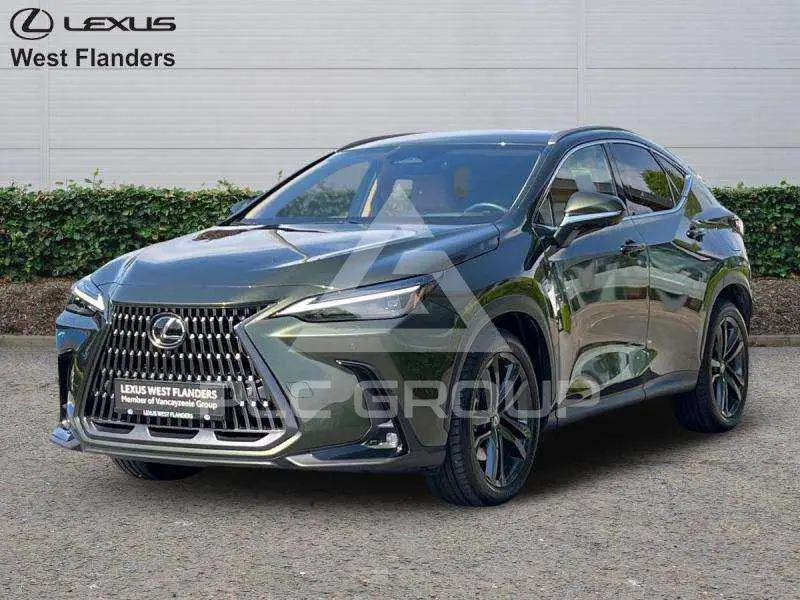 2024 Lexus NX450