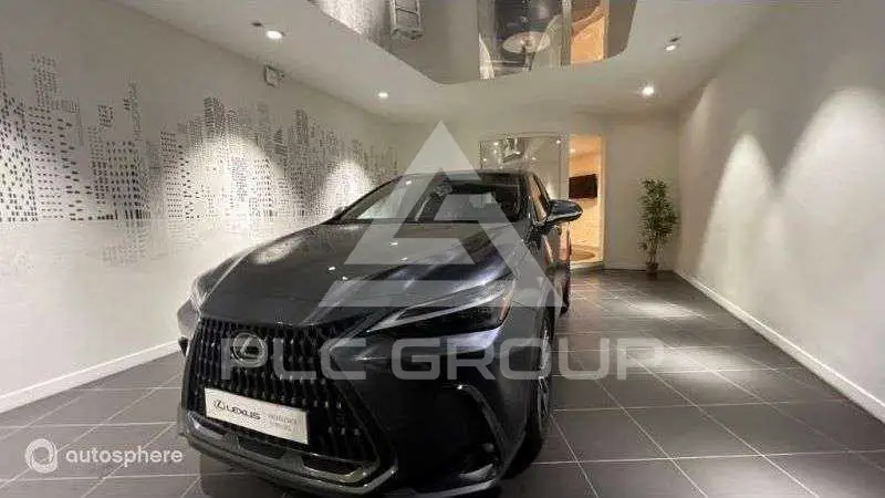 2024 Lexus NX450