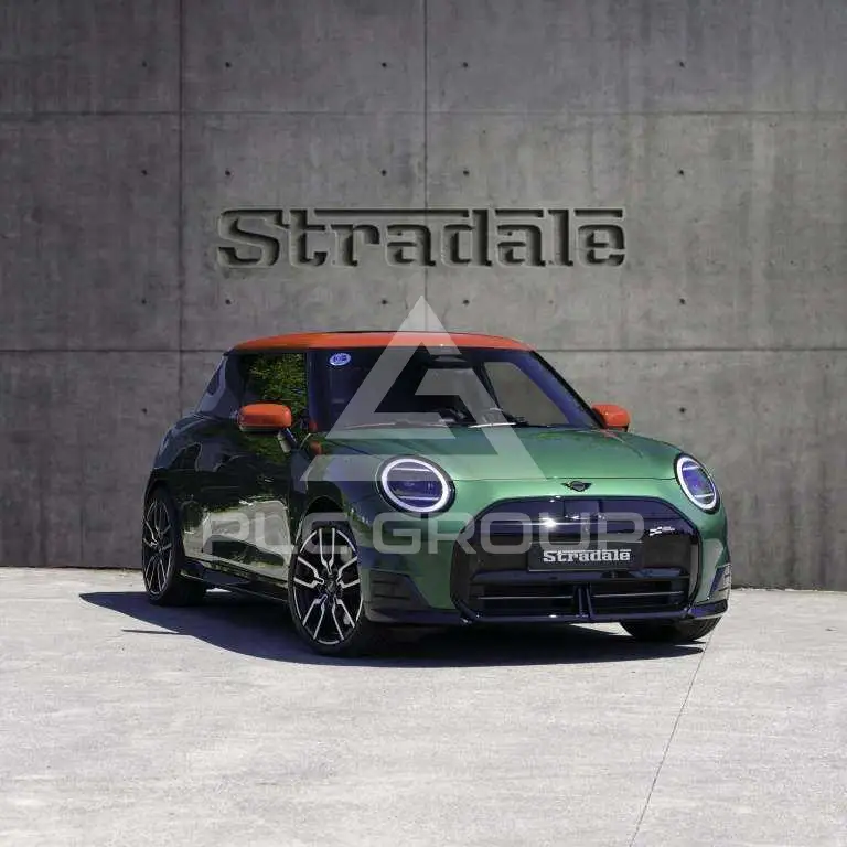 2024 Mini Unknown