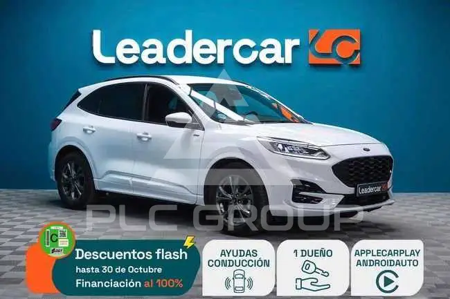 2024 Ford Kuga