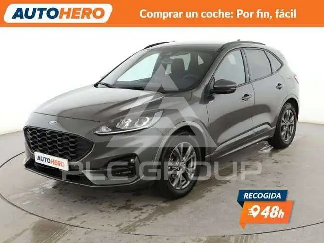 2024 Ford Kuga