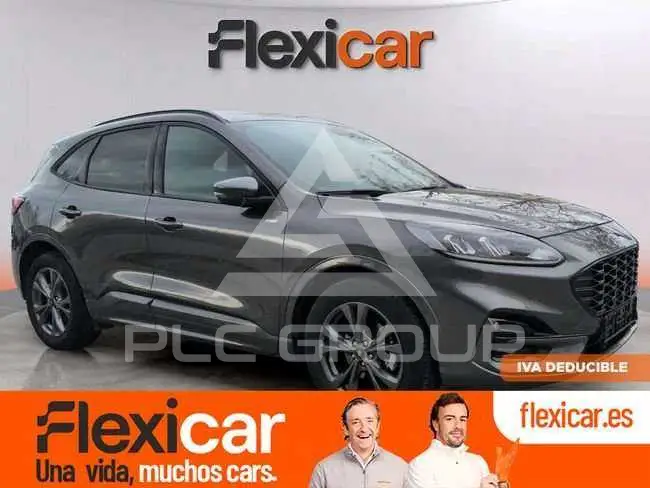 2024 Ford Kuga