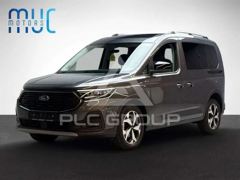 2024 Ford Tourneo
