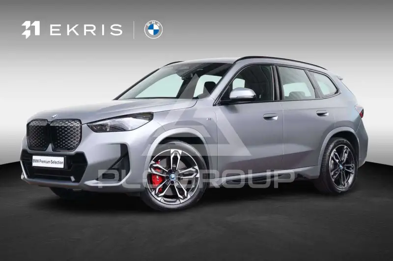 2025 BMW iX